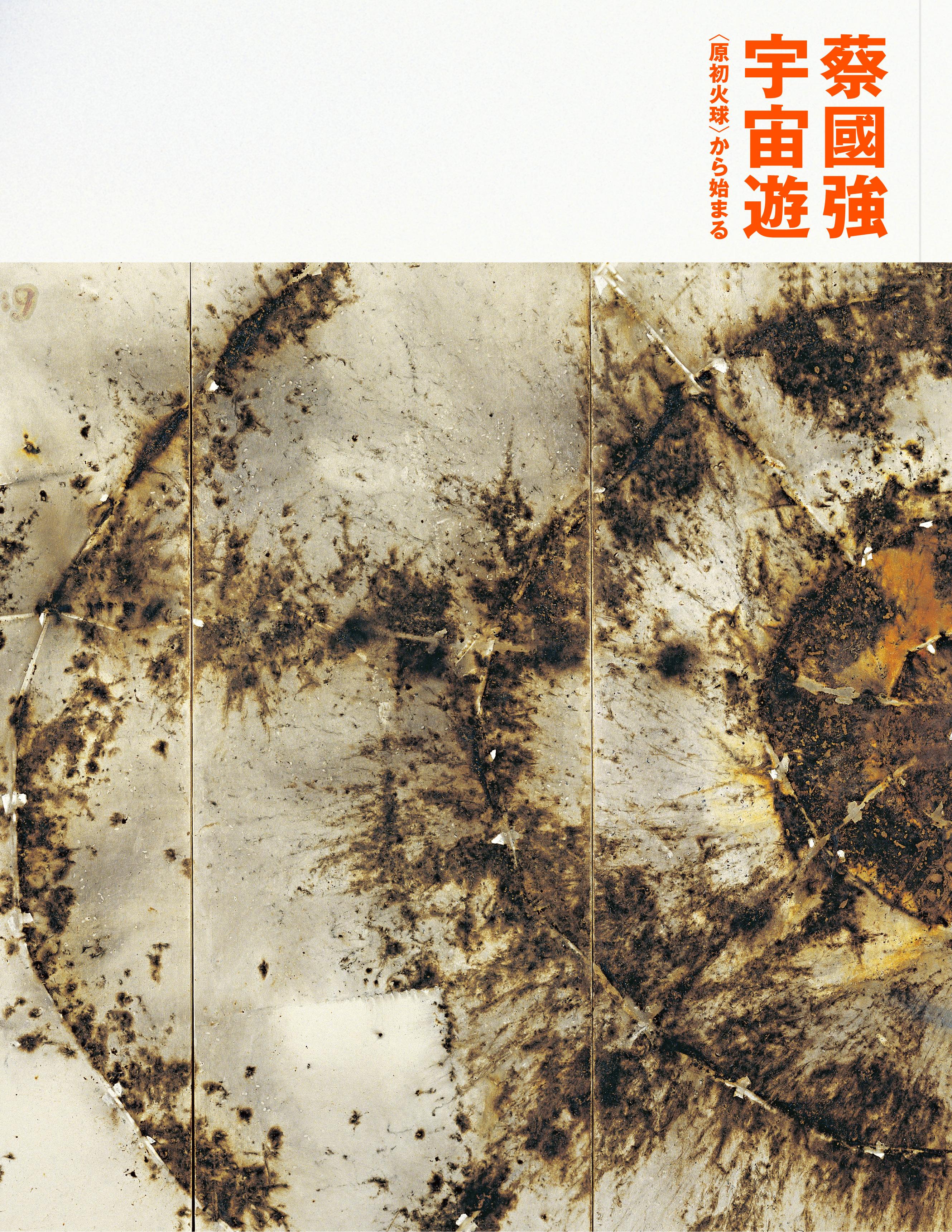 CGQ_逕サ蜒・CGQ_NACT-catalog_cover-jacket_web_JPside.jpg